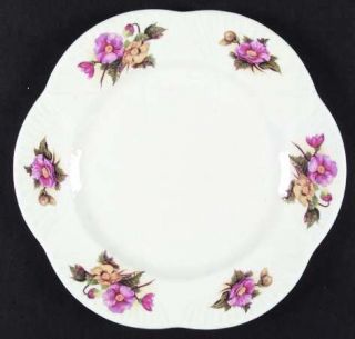 Shelley Begonia (Dainty Shape) Dinner Plate, Fine China Dinnerware   Dainty Shap