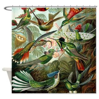  Vintage Haeckel Hummingbirds Shower Curtain  Use code FREECART at Checkout