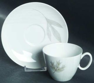 Rosenthal   Continental Golden Oak Flat Cup & Saucer Set, Fine China Dinnerware
