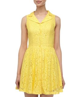 Notched Collar Lace Fit And Flare Dress, Yellow