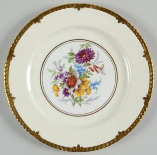 Paragon Park Lane Salad Plate, Fine China Dinnerware   Floral Center, White Back