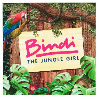Bindi the Jungle Girl Napkins