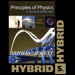 Principles of Physics, Hybrid Edition