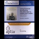 Using Financial Accounting Information Access