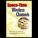 Space Time Wireless Channels