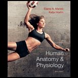Human Anatomy and Physiology (Looseleaf) Package