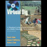 Virtual Dig  A Simulated Archaeological Excavation of a Middle Paleolithic Site in France / With CD