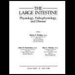 Large Intestine  Physiology, Pathophysiology, and Diseases