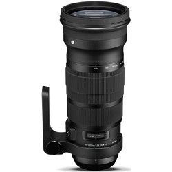 Sigma NEW SIGMA 120 300mm F2.8 DG OS HSM Telephoto Zoom Lens for Canon   137 101