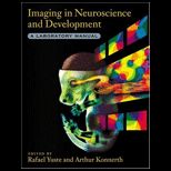 Imaging in Neuroscience and Development