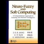 Neuro Fuzzy Modeling and Soft Computing