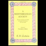 Mediterranean Society Volume 6