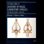 Colour Atlas of Anatomy of Small Laboratory Animals, 1