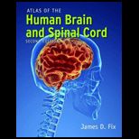 Atlas of Human Brain and Spinal Cord