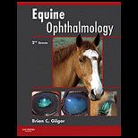 Equine Ophthalmology