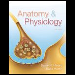 Anatomy and Physiology (Looseleaf)