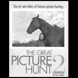 Great Picture Hunt 2