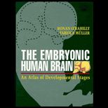 Embryonic Human Brain  An Atlas of Developmental Stages