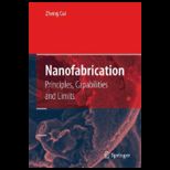 Nanofabrication  Principles, Capabilities and Limits