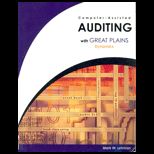 Computer Assisted Auditing / With CD