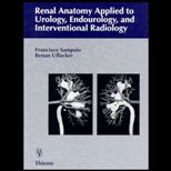 Renal Anatomy Applied to Urology, Endourology, and Interventional Radiology