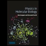 Physics in Molecular Biology