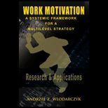Work Motivation A Systemic Framework For A Multilevel Strategy