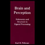 Brain and Perception  Holonomy and Structure in Figural Processing