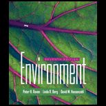 Environment   With 2008 Data Sheet (Paperback)