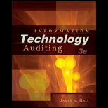 Information Technology Auditing   With CD