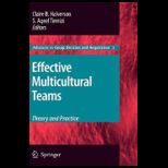 Effective Multicultural Teams