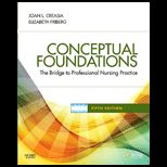 Conceptual Foundations Bridge to Professional Nursing Practice