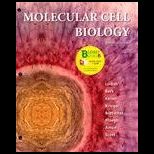 Molecular Cell Biology (Looseleaf)   With Access