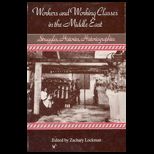 Workers and Working Classes in Middle East  Struggles, Histories, Historiographies