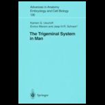 Trigeminal System in Man