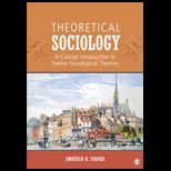 Theoretical Sociology A Concise Introduction to Twelve Sociological Theories