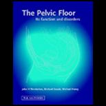 Pelvic Floor  Its Function and Disorders