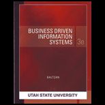 Business Driven Information System (Custom)