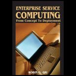 Enterprise Service Computing