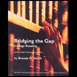 Bridging the Gap (Custom)