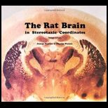 Rat Brain With Stereotaxic Coordinates