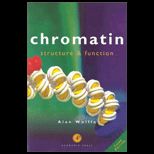 Chromatin  Structure and Function