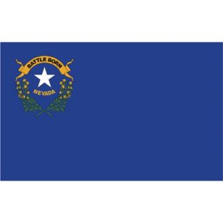 Nevada State Flag   3 x 5