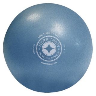 Stott Pilates Mini Stability Ball   Blue ( 7)