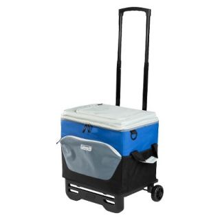 Coleman 60 Can Collapsible Cooler