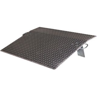 Vestil Economizer Dockplate   Aluminum, 3600 lb. Capacity, 24 Inch L x 36 Inch