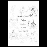 Black Gods Orisa Studies in the New World