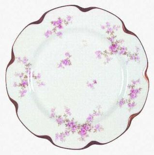 Haviland Schleiger 67j Dinner Plate, Fine China Dinnerware   H&Co,Blank 19,Pink