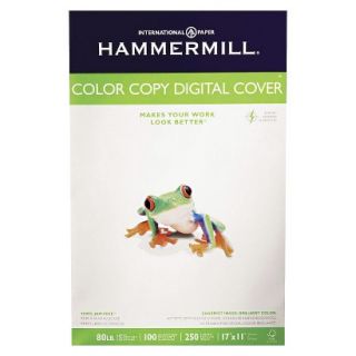 Hammermill Color Copy Digital Cover Stock, 80 lbs   White (250 Sheets Per Pack)