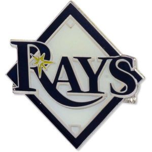 Tampa Bay Rays AMINCO INC. Logo Pin